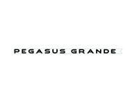 PG2 Pegasus GT75 Side Pegasus Grande Name Decal